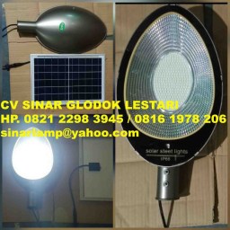 Lampu PJU Solar Cell 100 Watt PLTS Model Camar